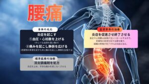 腰痛に対する身体の反応と標準医療と医学革命の違い
