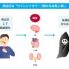 高血圧の症状：血圧測定と危険信号のイメージ